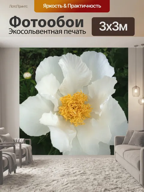 Фотообои Пионы