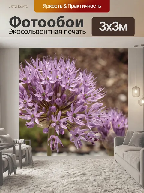 Фотообои Зеленый лук