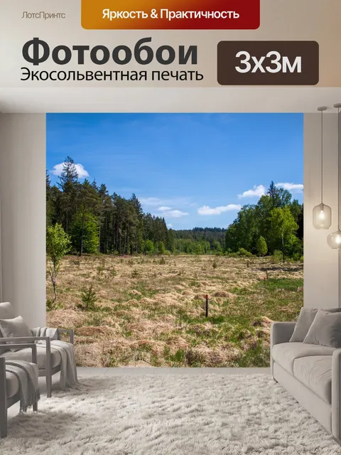 Фотообои Причалить