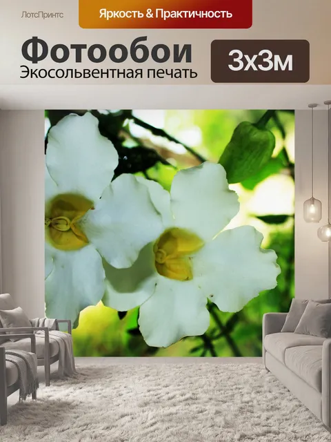 Фотообои Белые цветы 02
