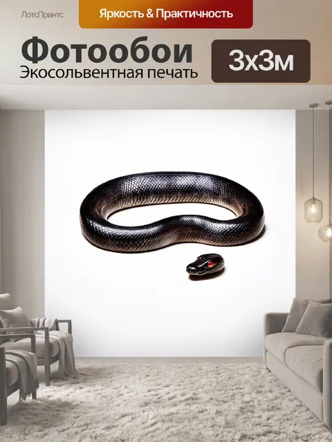 Фотообои черная змейка с красными глазунками на фоне белого холста