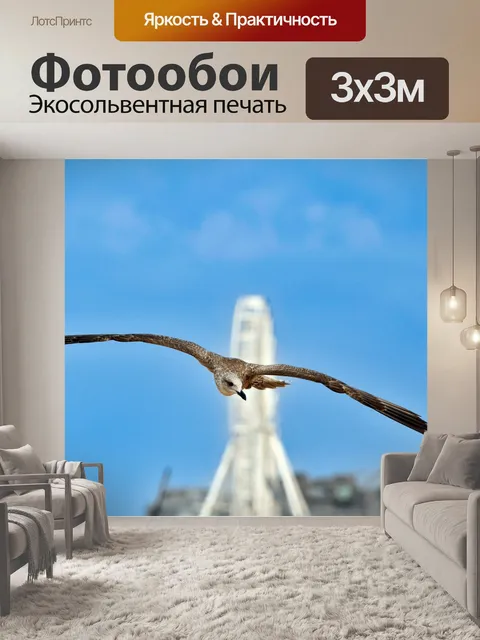 Фотообои Летающая чайка, морская птица