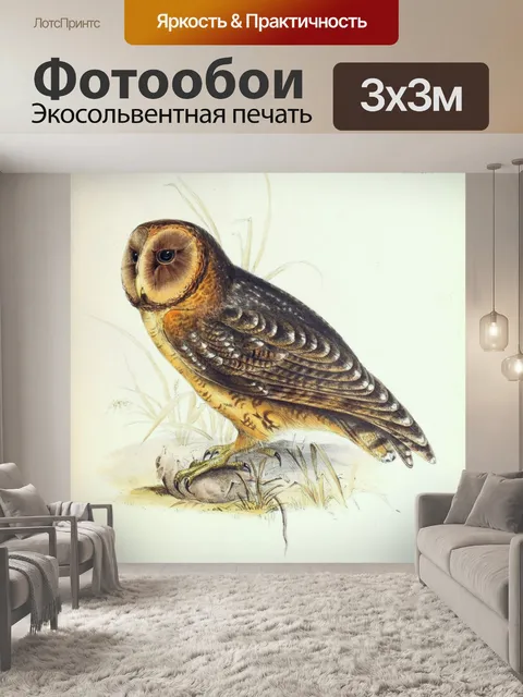 Фотообои Винтажная сова старая иллюстрация