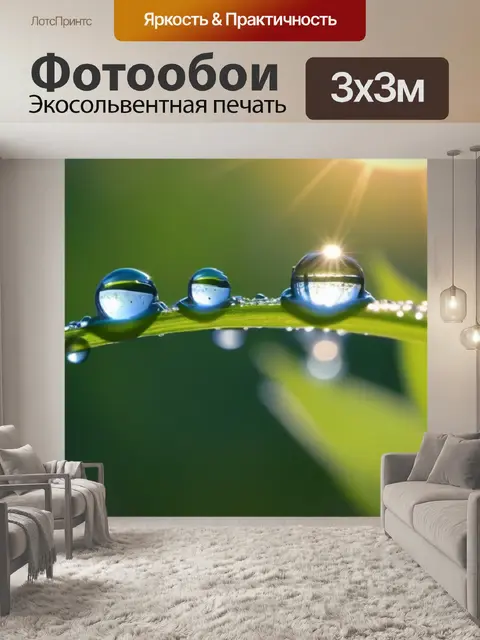 Фотообои цветы с каплями росы на утреннем солнце