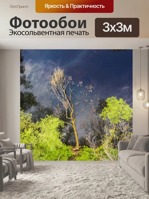Фотообои С высоты птичьего полета