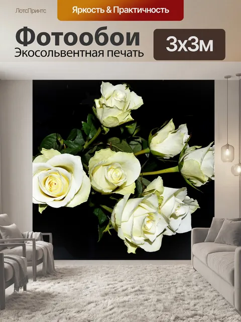 Фотообои Белые розы