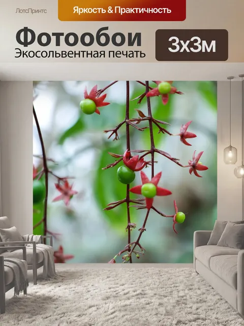 Фотообои Растения