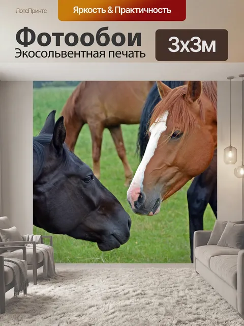 Фотообои Лошади