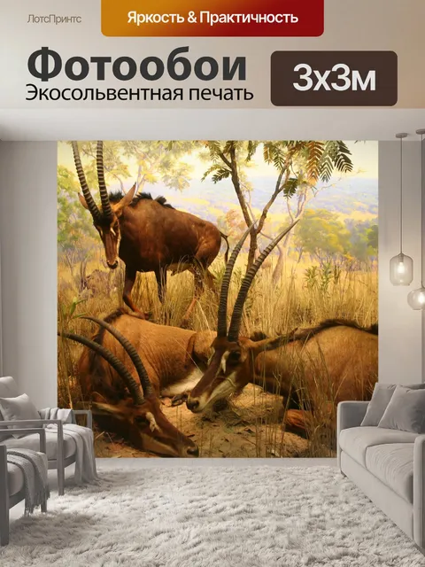 Фотообои Серна