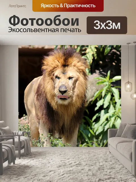 Фотообои Лев
