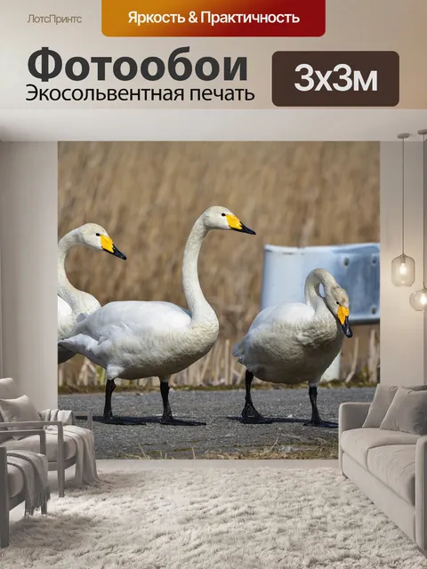 Фотообои Животное