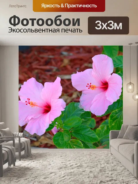 Фотообои Розовый цветок гибискуса