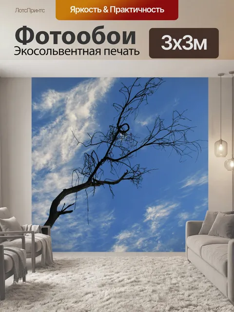 Фотообои Голубое небо и Twirly ветки