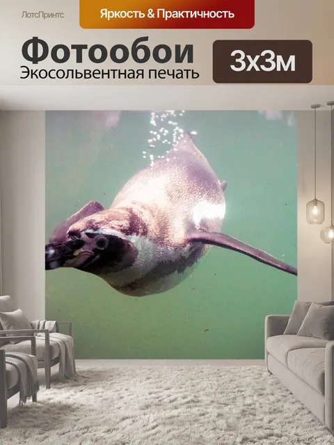 Фотообои Пингвин