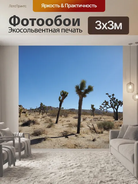 Фотообои Пейзаж Пустыни Джошуа-Три