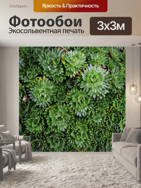 Фотообои декоративная зелень