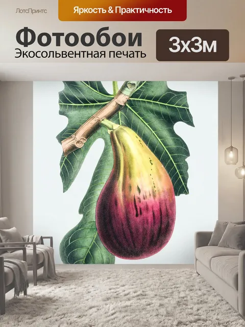 Фотообои Рис старинное искусство иллюстрации
