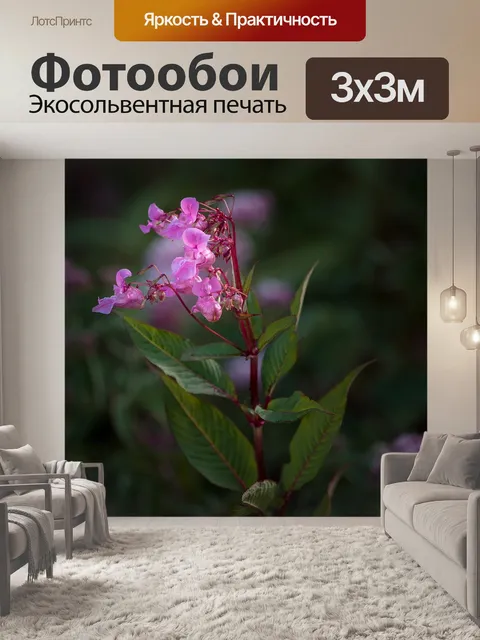 Фотообои Бальзам