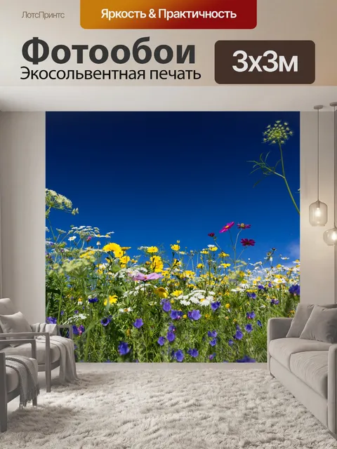 Фотообои Красочные полевые цветы