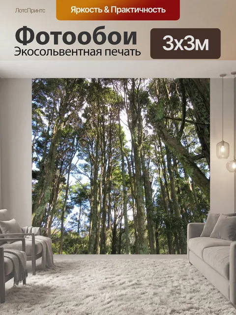 Фотообои Высокие лесные деревья