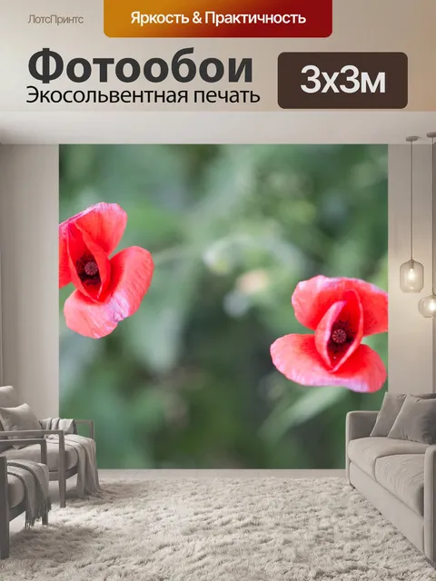 Фотообои Цветок мака