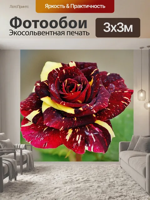 Фотообои Роза дракона
