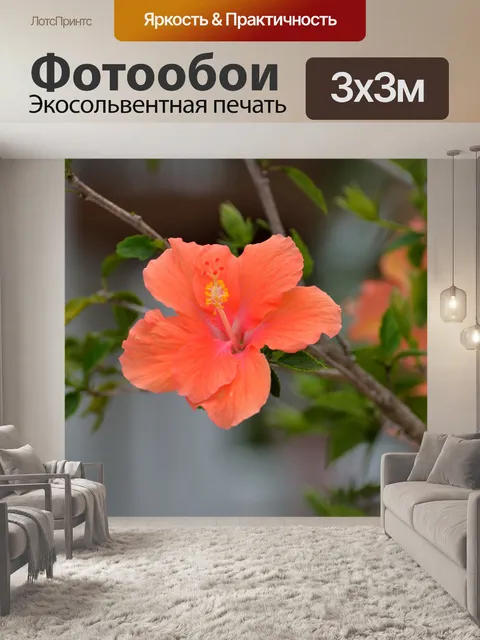 Фотообои Яркий персик Цветные Гибискус