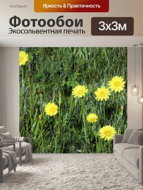 Фотообои Желтые полевые цветы в утренней росе