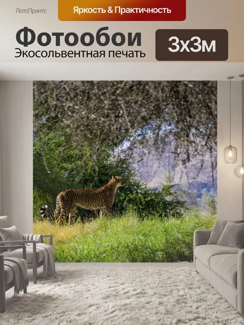 Фотообои Кот гепард
