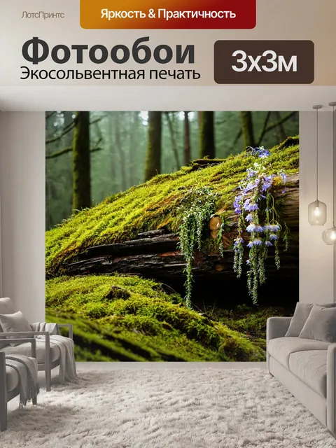 Фотообои природа в стиле фредерик эдвин черч