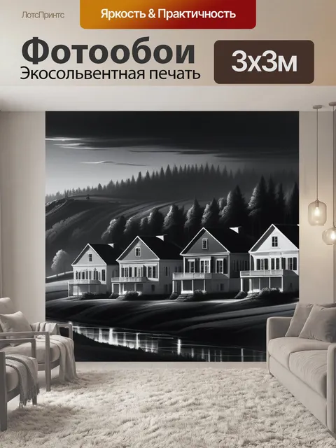 Фотообои пейзаж с домами чернобелый