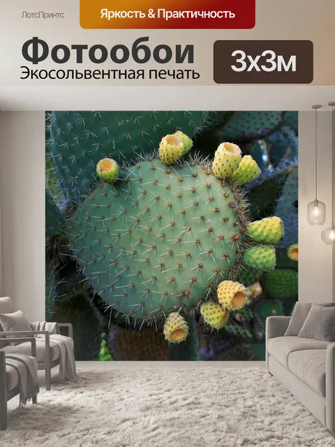Фотообои опунция лист
