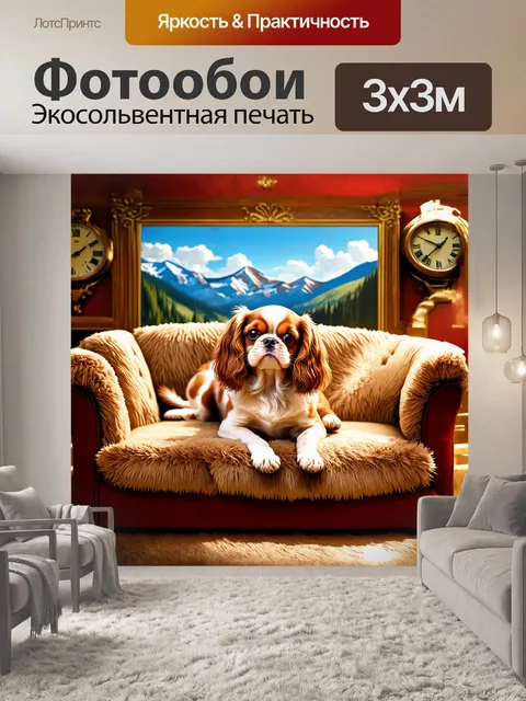 Фотообои русское описание: кавалер кинг чарльз спаниель