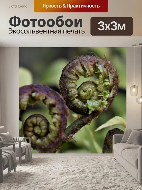 Фотообои Папоротник