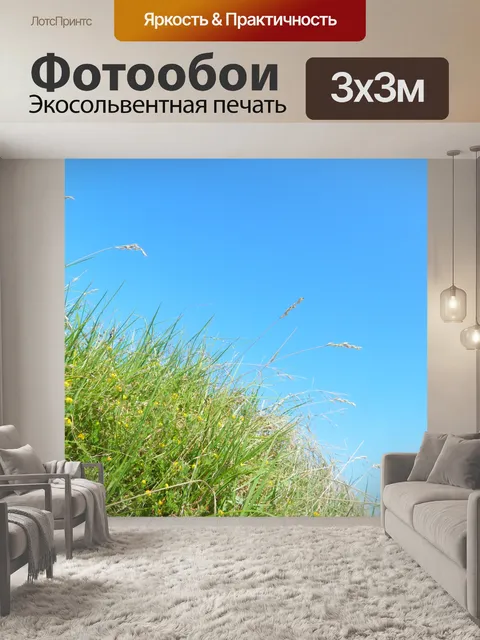 Фотообои Трава и небо фон