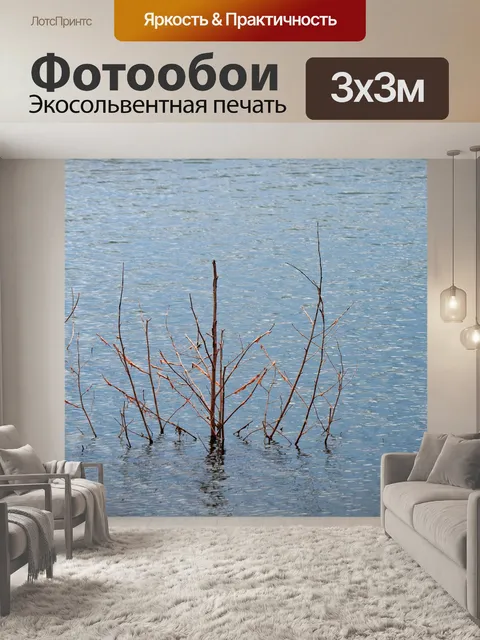 Фотообои Голые ветки, торчащие из воды