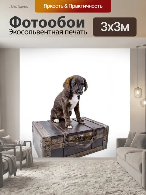 Фотообои Щенок с чемоданом