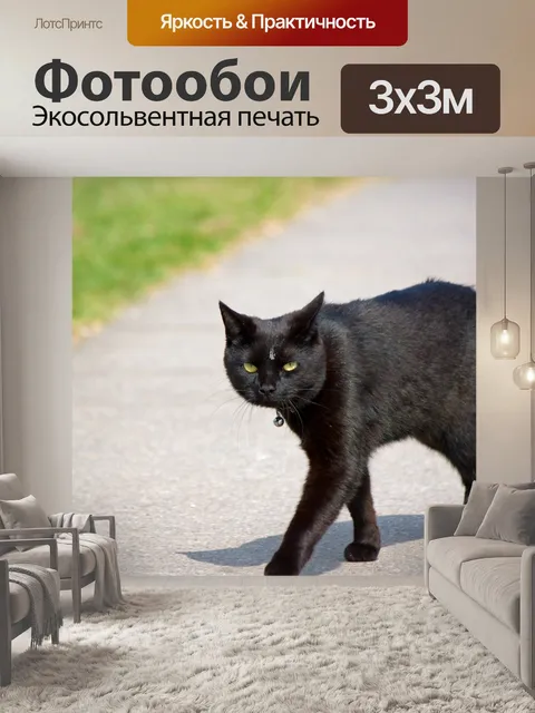 Фотообои Black Cat