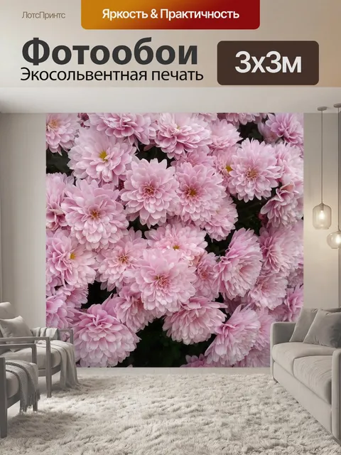Фотообои Хризантема