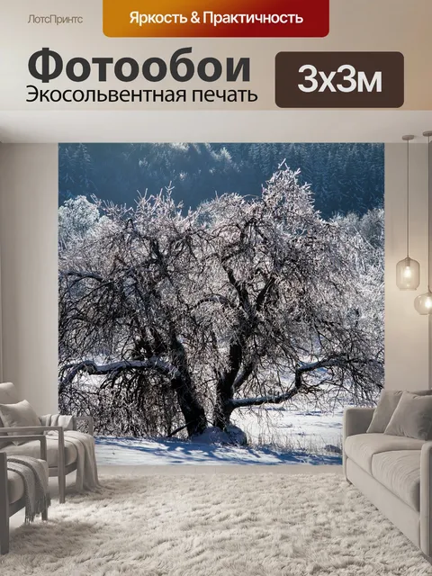 Фотообои Зима
