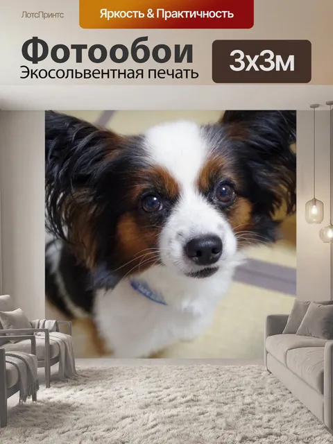 Фотообои Собака