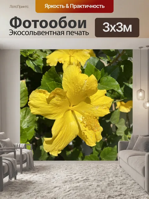 Фотообои Желтый гибискус