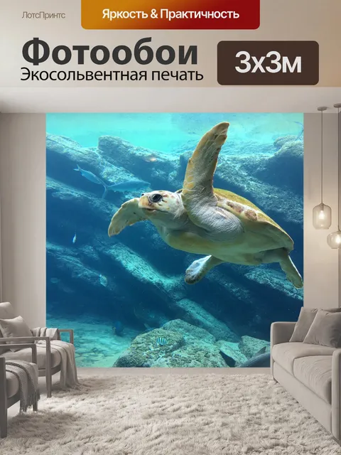 Фотообои Черепаха