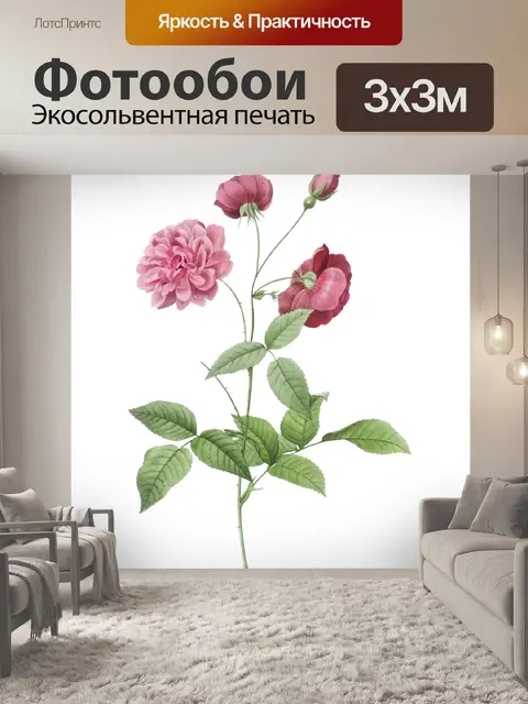 Фотообои Винтаж Клипарт Роза цветок