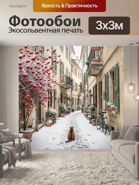 Фотообои Зимняя улочка с рыжим котом