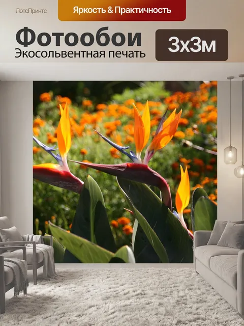 Фотообои Цветок