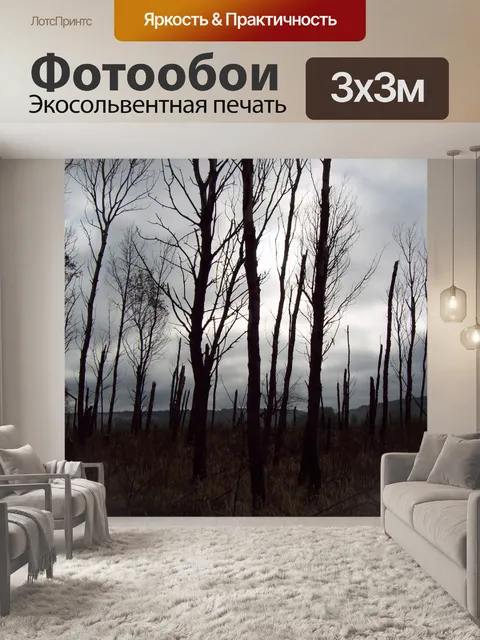 Фотообои Пустынный лес