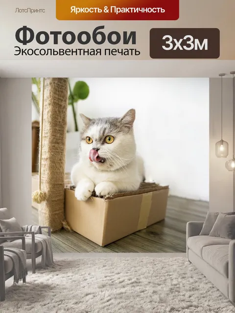 Фотообои Кошка