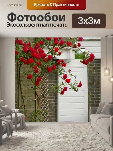 Фотообои Rambling Роза