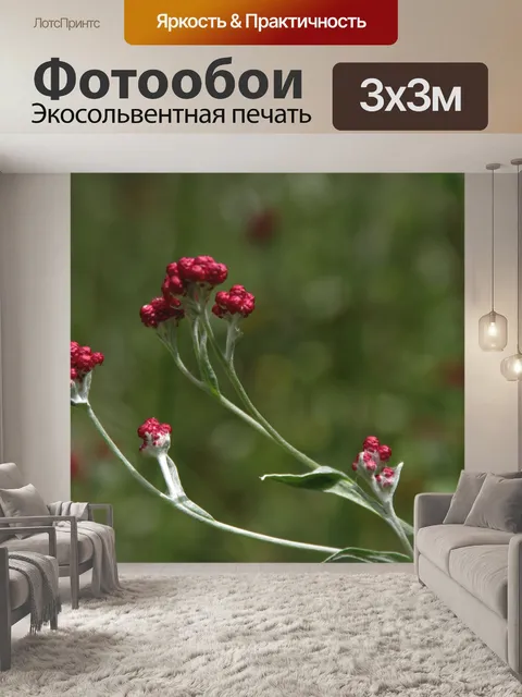 Фотообои Кровь Маккавеев